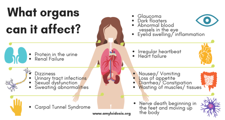 Hereditary Amyloidosis Amyloidosis Foundation